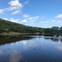 lakeside-cabin-farm-buffelsfontein-kq237-vaalwater-tfyoo