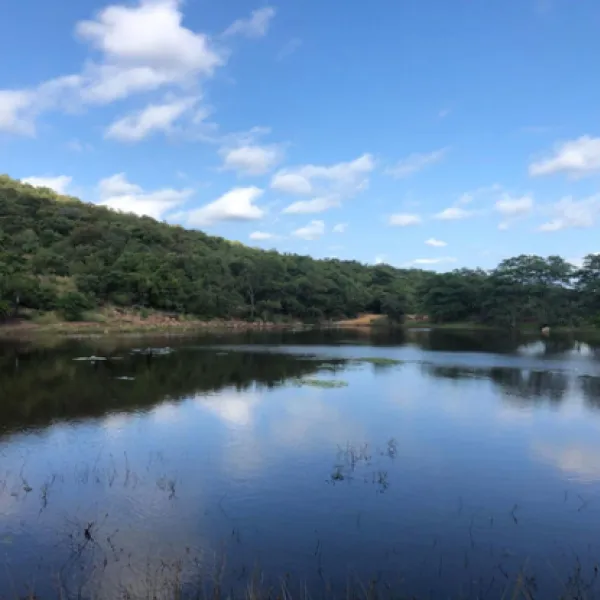 lakeside-cabin-farm-buffelsfontein-kq237-vaalwater-zoydc