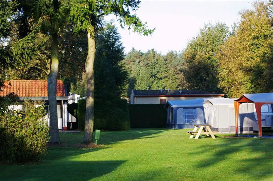 t-ravenest-putten-7wiwy