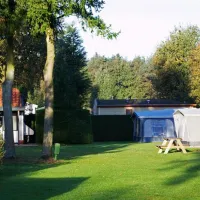 t-ravenest-putten-7wiwy
