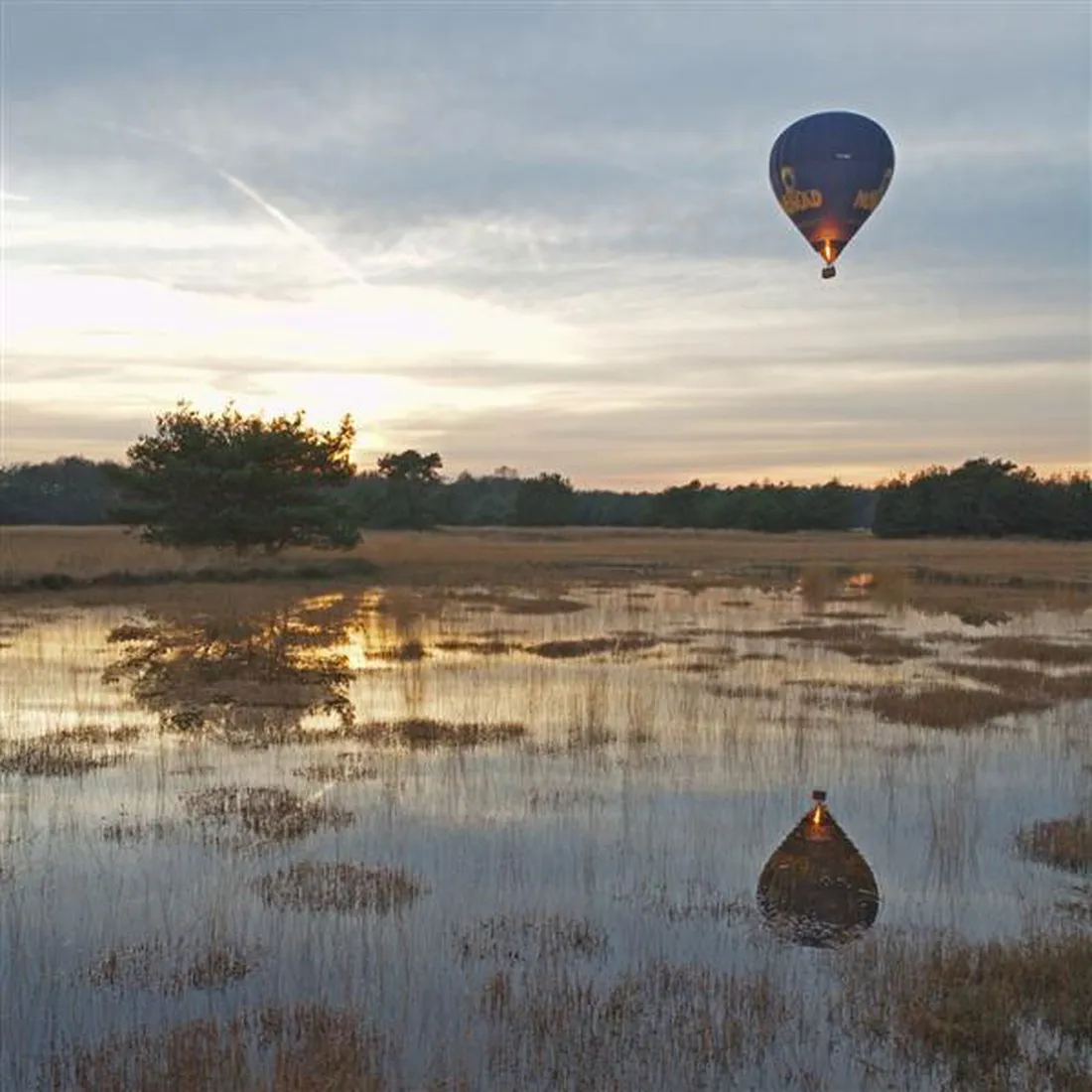 t-ravenest-putten-8hcp5