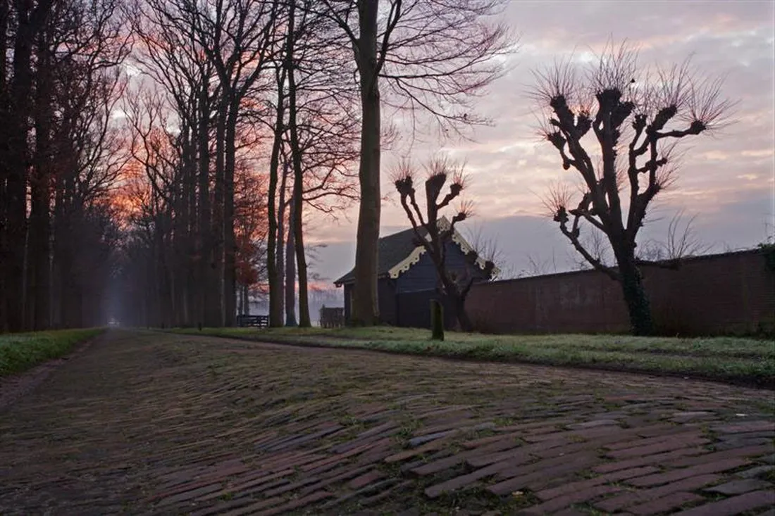 t-ravenest-putten-e17nw
