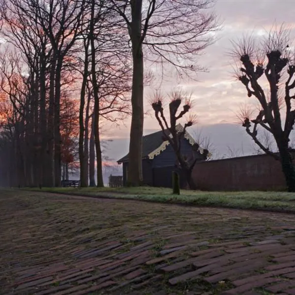 t-ravenest-putten-e17nw