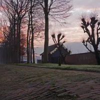 t-ravenest-putten-e17nw
