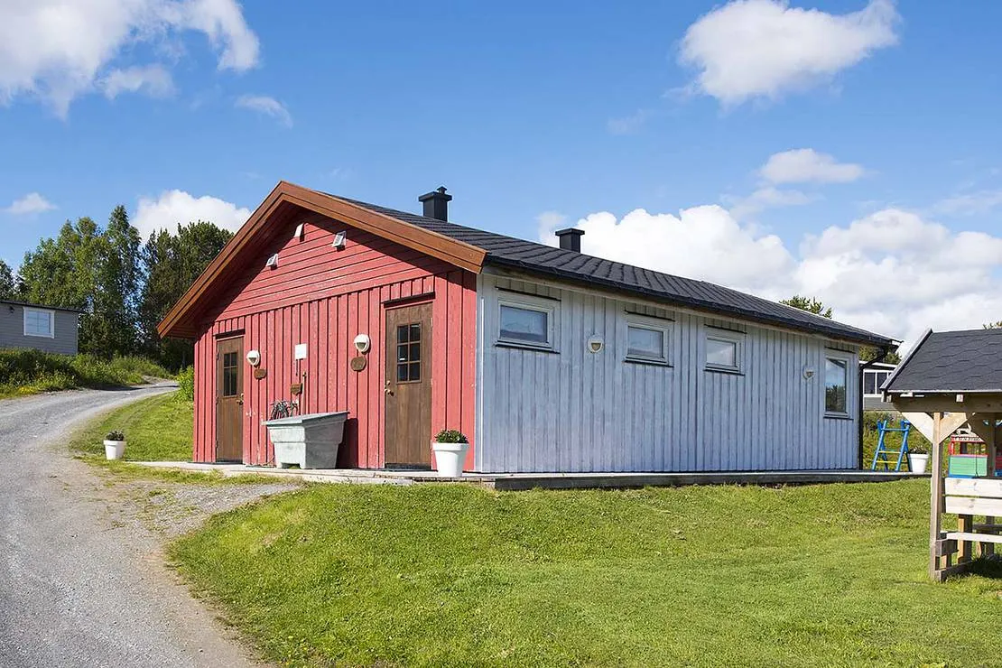 norwegian-wild-9304-auw8i