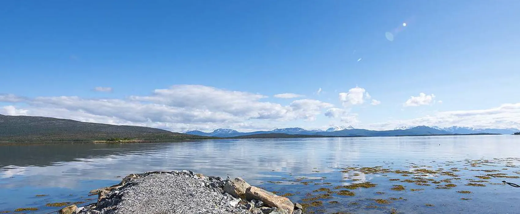 Norwegian Wild