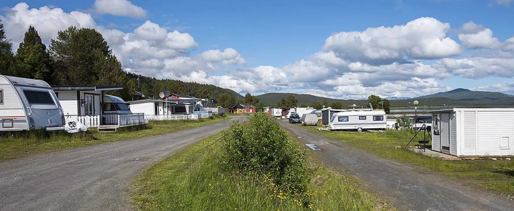 Norwegian Wild