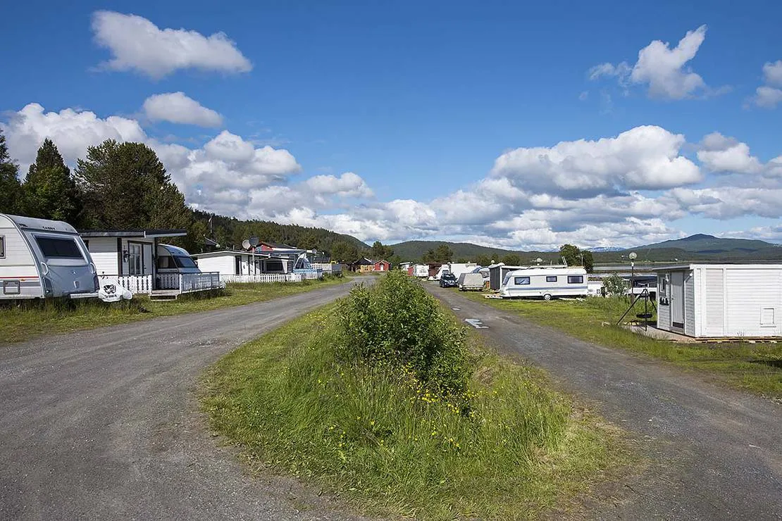 norwegian-wild-9304-xvtin