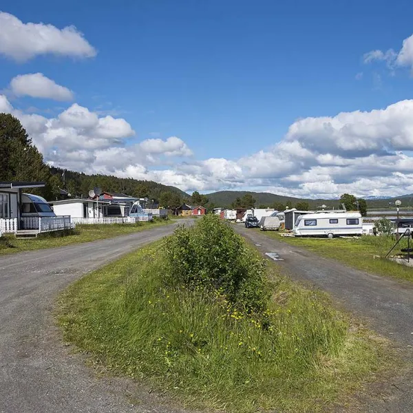 norwegian-wild-9304-xvtin