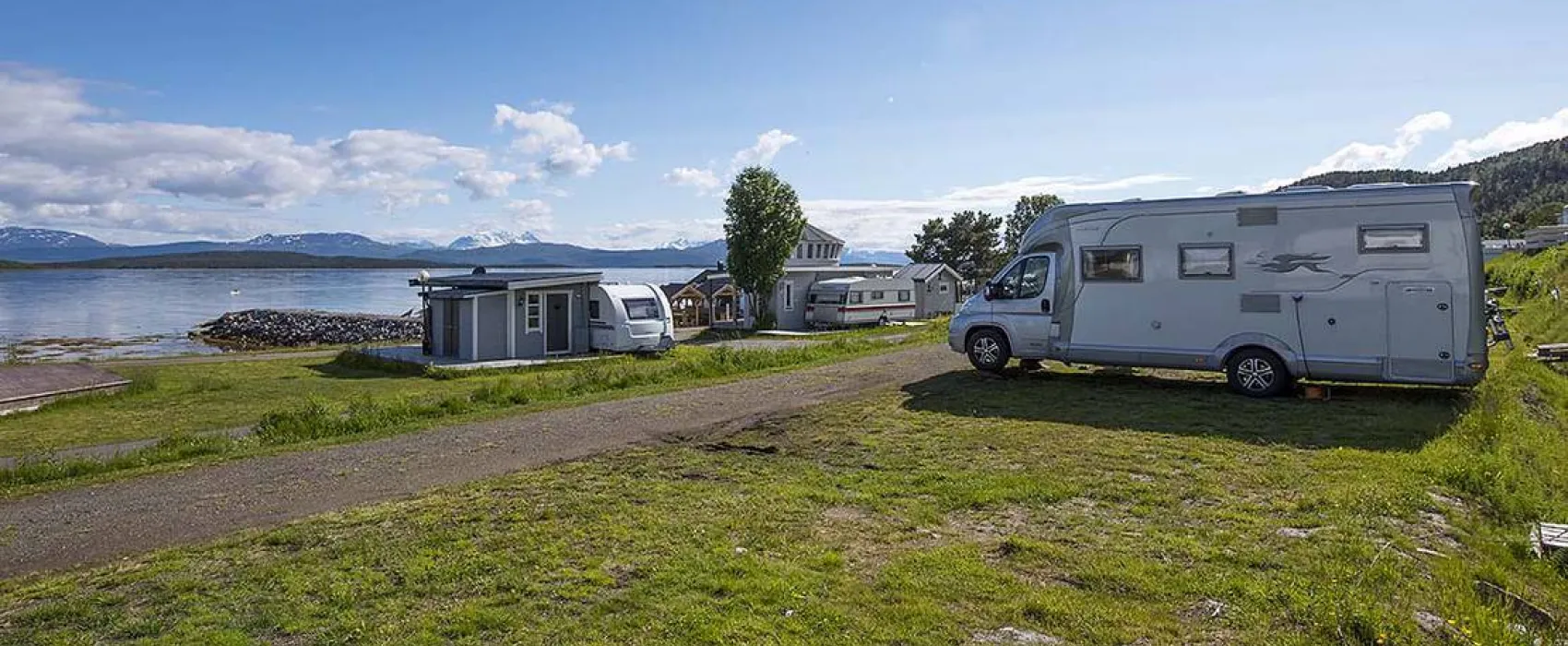 Norwegian Wild