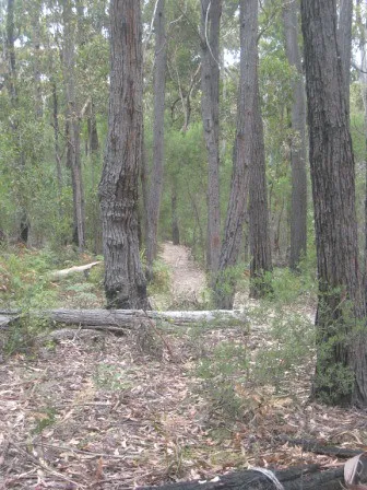 shipwreck-creek-campground-wingan-river-oe0gm