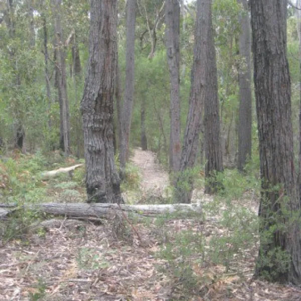 shipwreck-creek-campground-wingan-river-oe0gm