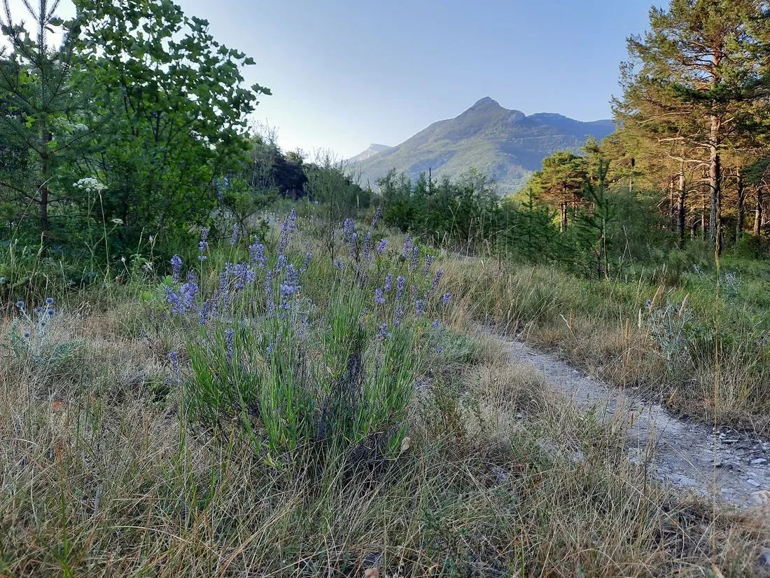 le-parc-des-serigons-montmaur-vhclw