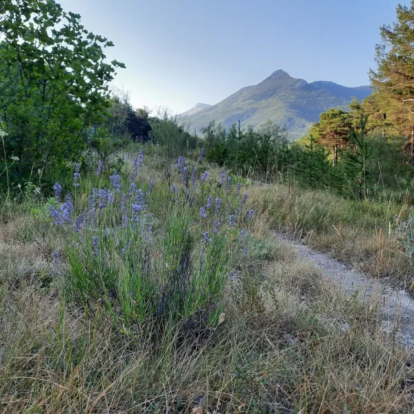 le-parc-des-serigons-montmaur-vhclw