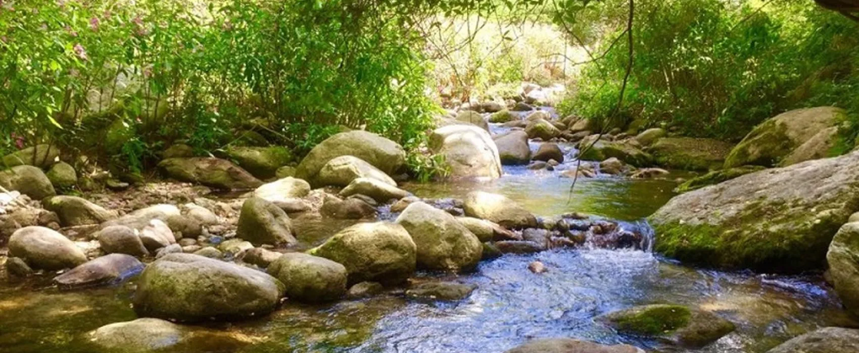 L' Eau Vive