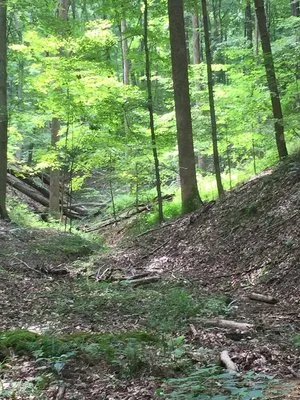 hardin-ridge-recreation-area-heltonville-z4gk4