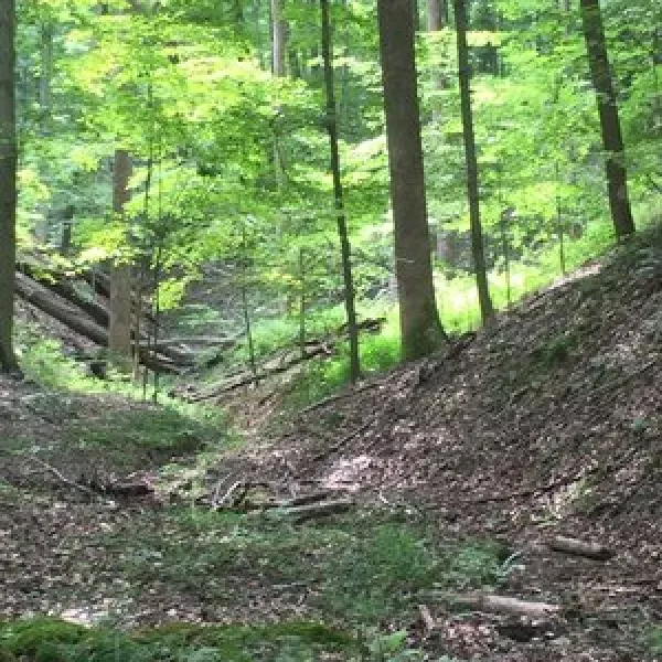 hardin-ridge-recreation-area-heltonville-z4gk4