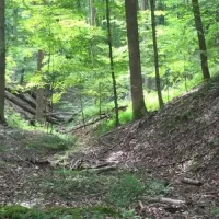 hardin-ridge-recreation-area-heltonville-z4gk4