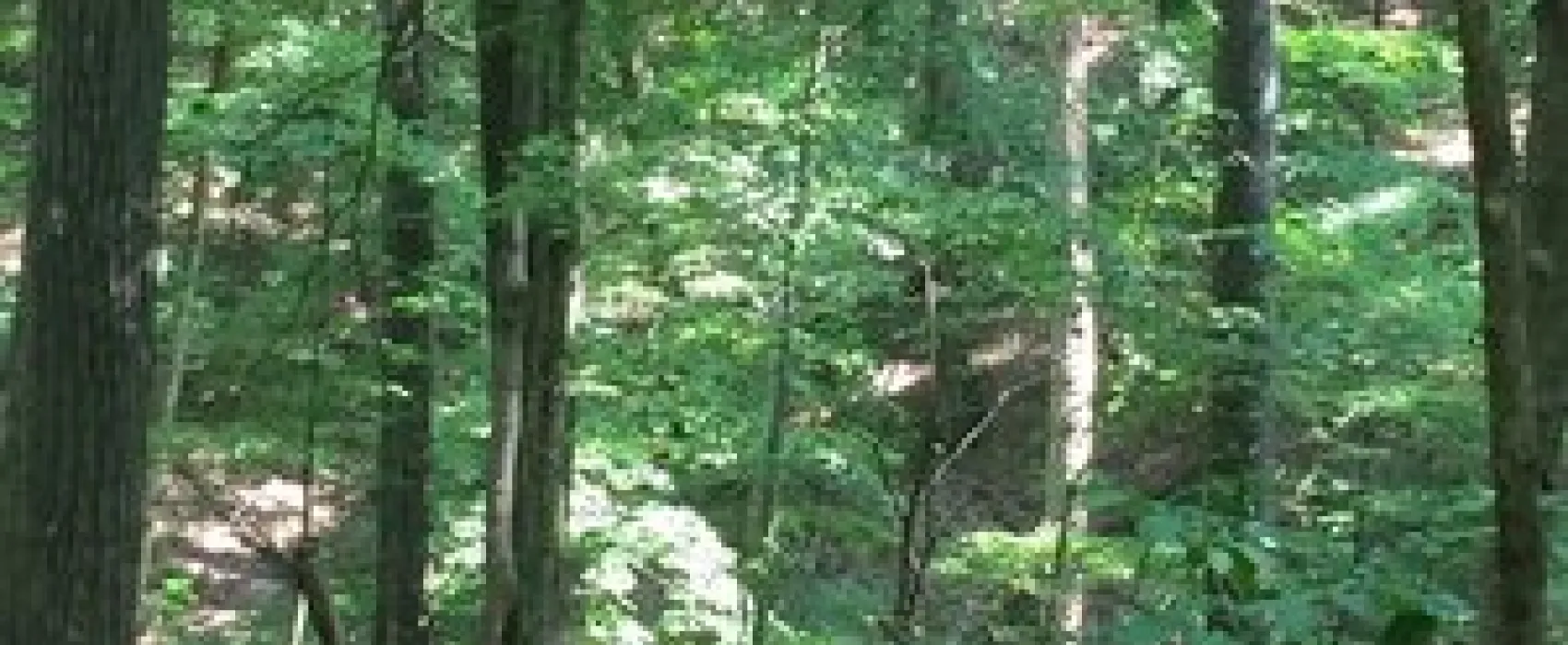 Hardin Ridge Recreation Area
