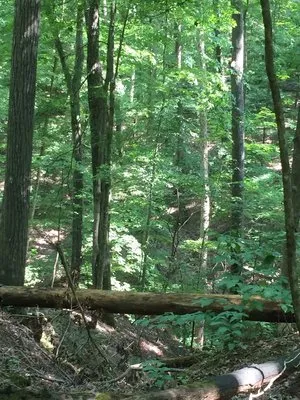hardin-ridge-recreation-area-heltonville-zsimp