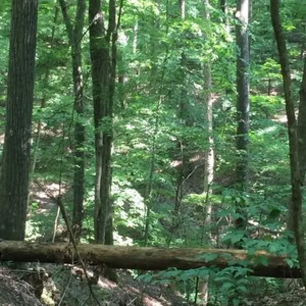 hardin-ridge-recreation-area-heltonville-zsimp