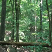 hardin-ridge-recreation-area-heltonville-zsimp