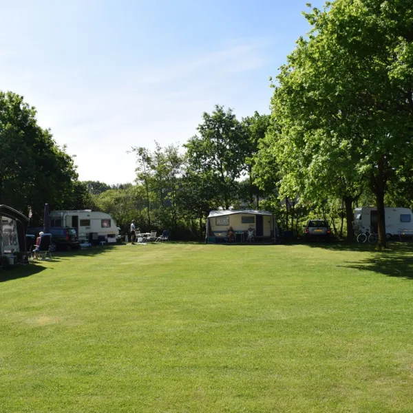 de-bosrand-bergeijk-ewhxp