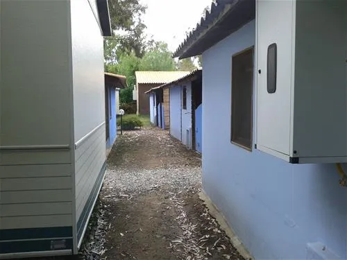 orri-tortoli-crls9
