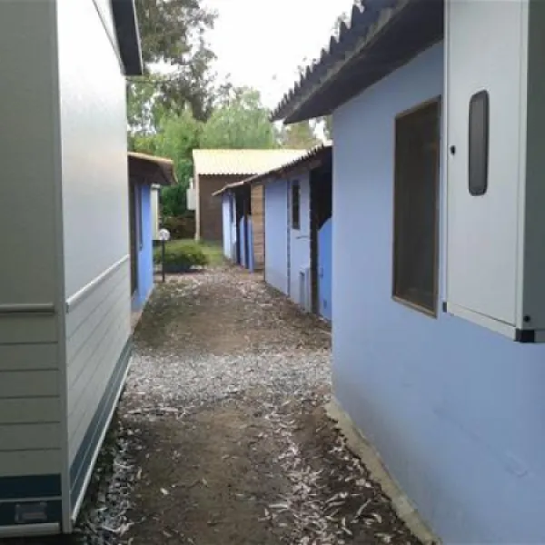 orri-tortoli-crls9