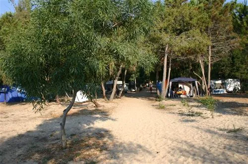 orri-tortoli-ex2ki