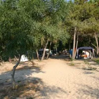orri-tortoli-ex2ki