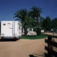orri-tortoli-fufbn