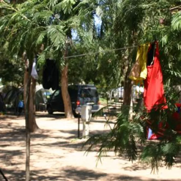orri-tortoli-lnshb