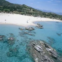 orri-tortoli-nigjr