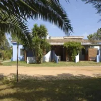 orri-tortoli-xaag3
