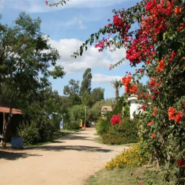 orri-tortoli-zzrow