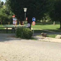 les-acacias-altkirch-4rfgh