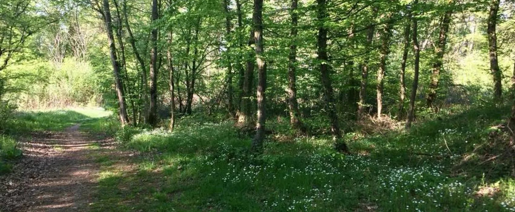 Camping du Canal