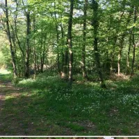 camping-du-canal-kembs-29166