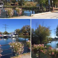 camping-du-canal-kembs-ed85c