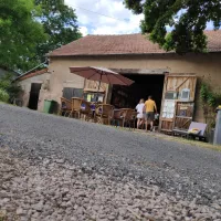 les-tournesols-de-beaulieu-st-prix-sog7f