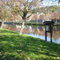 le-pirot-han-sur-lesse-snft7
