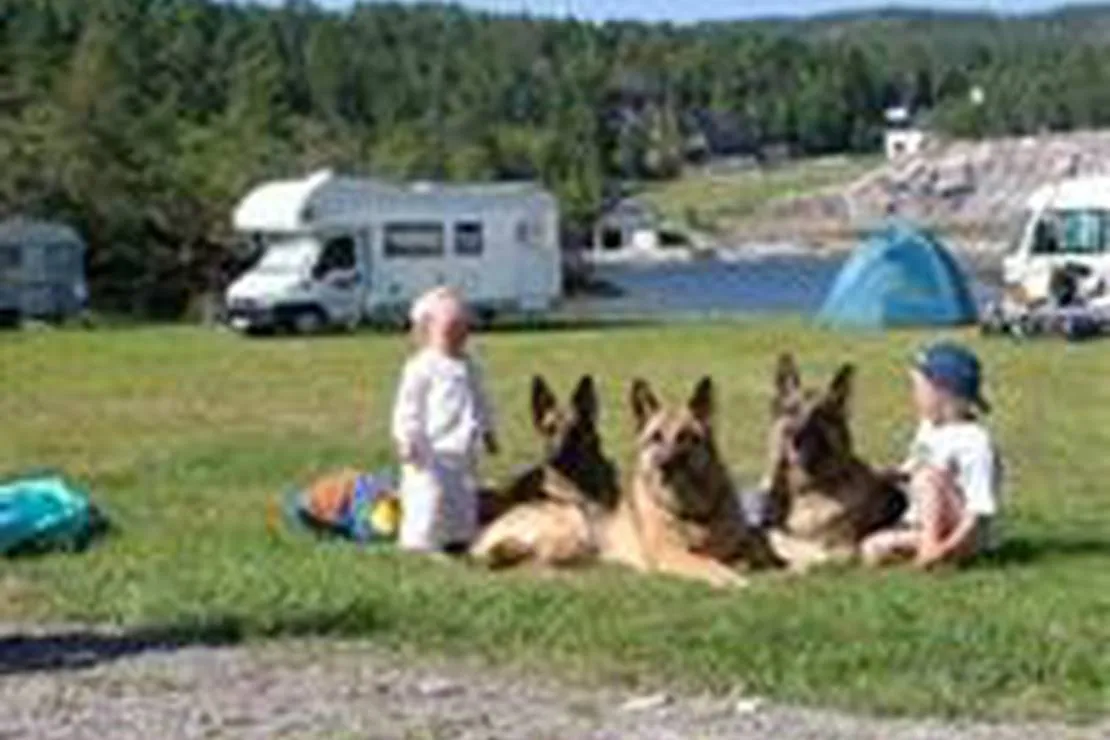 vagen-camping-sandstad-yuomm