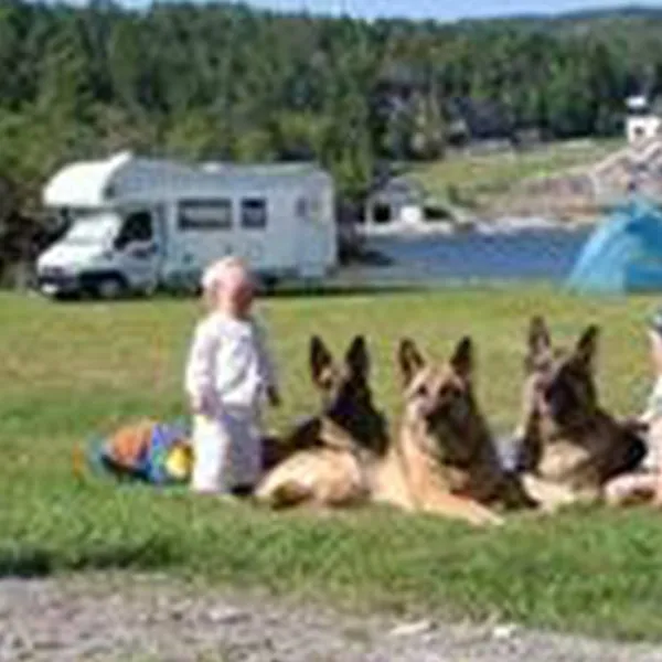 vagen-camping-sandstad-yuomm