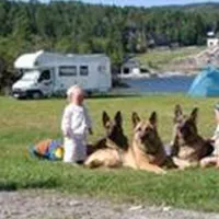 Vågen Camping