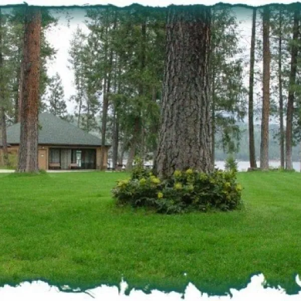 west-bay-resort-llc-loon-lake-f10vx
