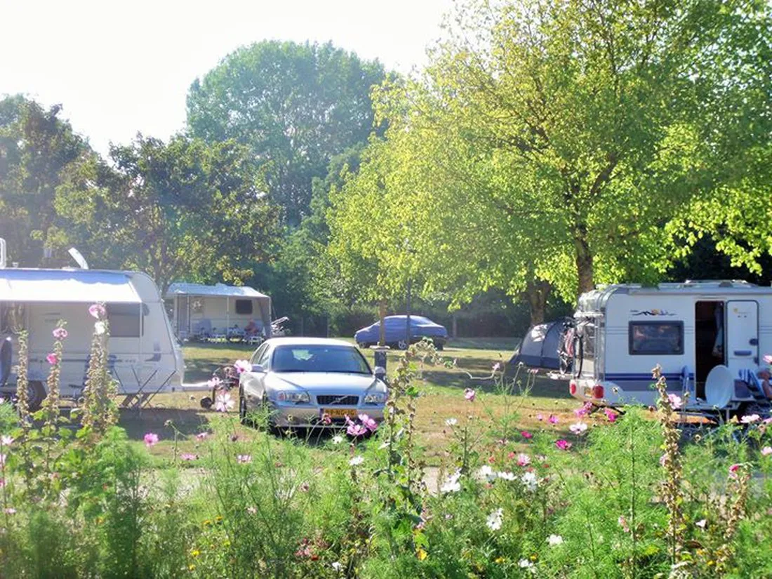 municipal-de-la-noue-marrou-ligny-le-chatel-byl0f