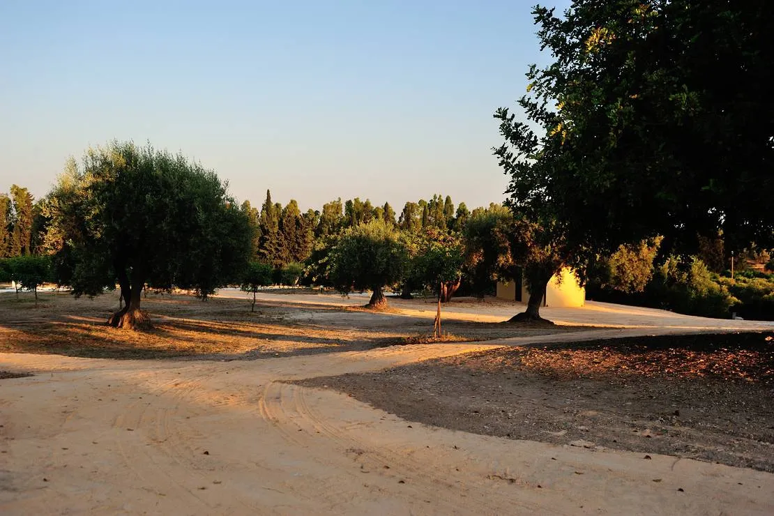 agri-camping-terra-del-sole-siracusa-3ueqh