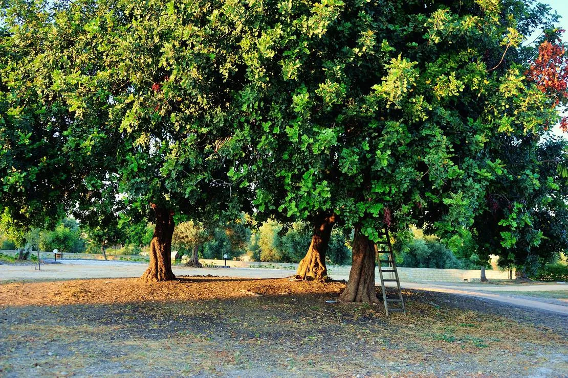 agri-camping-terra-del-sole-siracusa-dsmnw