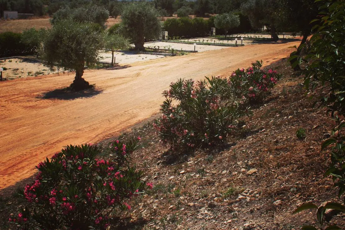 agri-camping-terra-del-sole-siracusa-m4kle